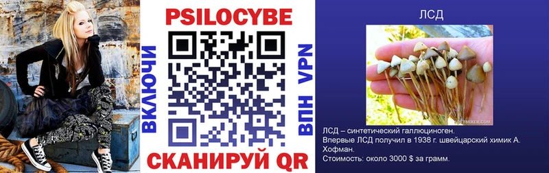 Галлюциногенные грибы Magic Shrooms  как найти   Новочебоксарск 