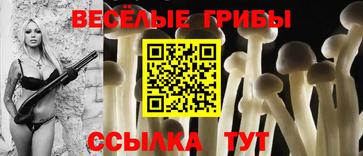 Псилоцибиновые грибы Psilocybe  Вход с VPN  Новочебоксарск 